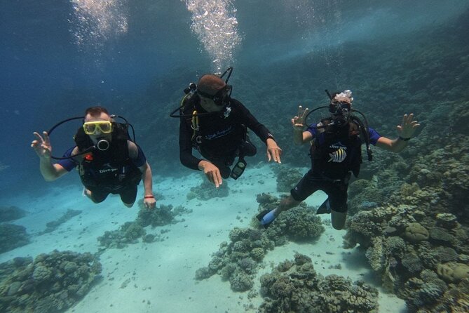 Scuba Diving in Hurghada _ 2 Stops Dive With Equipments & Lunch - Who should book this Hurghada outing?