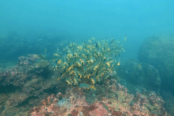 Scuba Diving in Kalpitiya - Five details that shape the day