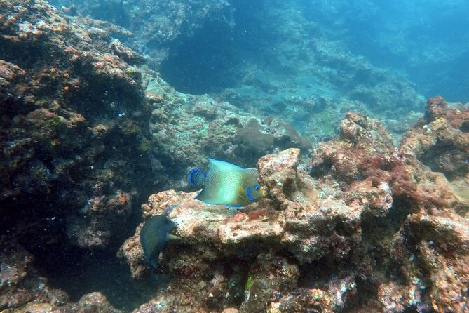 Scuba Diving in Kalpitiya - Getting to the Hospital Road meeting point
