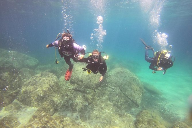 Scuba Diving in La Maddalena & Lavezzi Park for certified divers. - Key points at a glance