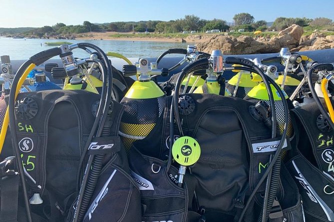 Scuba Diving in La Maddalena & Lavezzi Park for certified divers. - Equipment hire and the center’s simple facilities