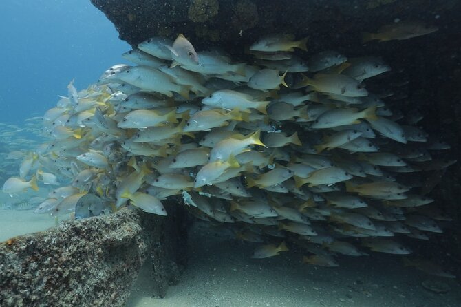 Scuba Diving in La Paz Private Trip - The first underwater session on the island’s north side