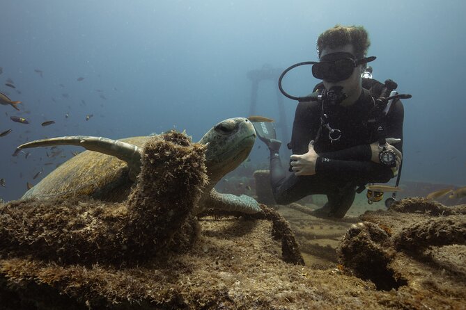 Scuba Diving in La Paz Private Trip - The second site and the rhythm of the day