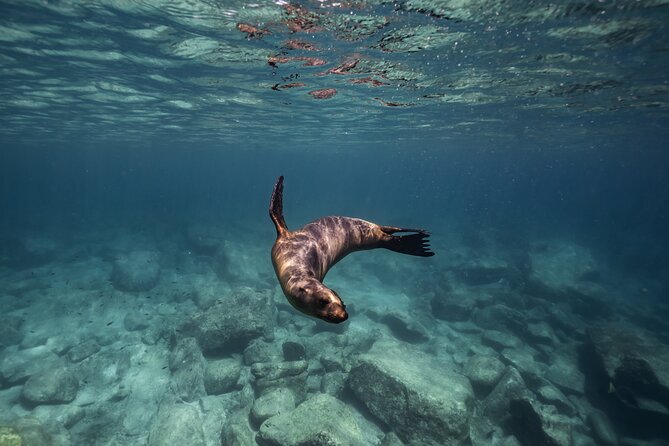 Scuba Diving in La Paz Private Trip - Reaching Espíritu Santo Island by boat