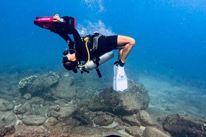 Scuba Diving in Maui with No Experience Needed - Key Points to Know Before Booking