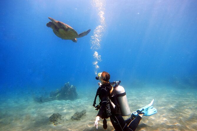 Scuba Diving in Maui with No Experience Needed - Walking Into Maui’s West Maui Water