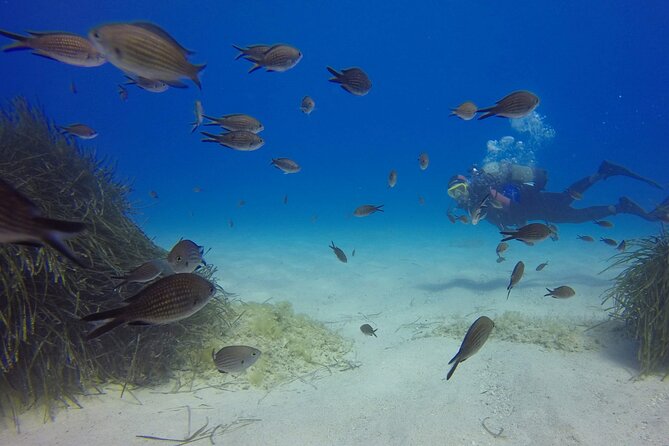 Scuba Diving in MIG-21 wreck - Why this small aircraft wreck is worth your time