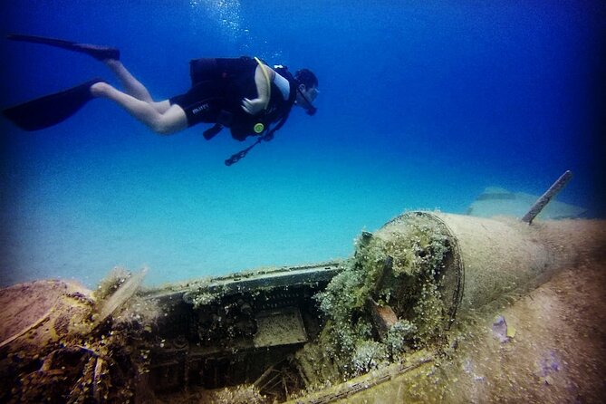 Scuba Diving in MIG-21 wreck - Who will enjoy this most?