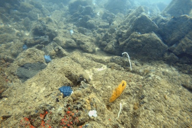 Scuba Diving in Mirissa - What your three hours in the water may look like