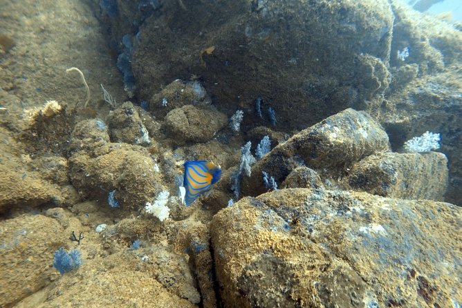 Scuba Diving in Mirissa - Equipment, instructors, and the private-group advantage