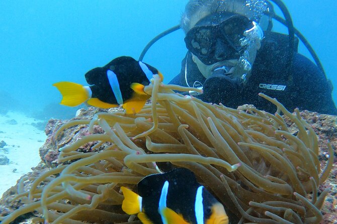 Scuba Diving in muscat - Five things to know before booking