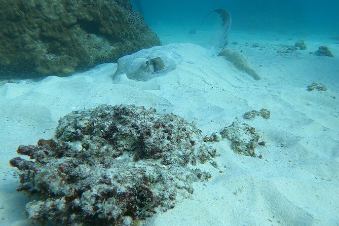 Scuba Diving in muscat - Starting early at Al Seeb Port