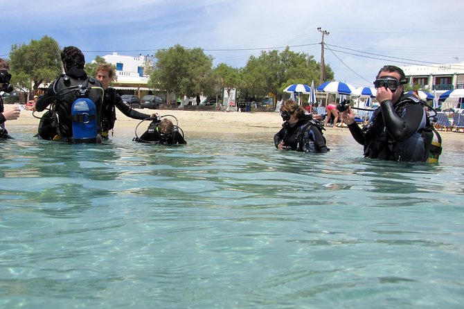 Scuba Diving in Naxos by Bluefindivers - Dive in Greece - Amazing Diving Spots - Learning the basics before you touch the sea