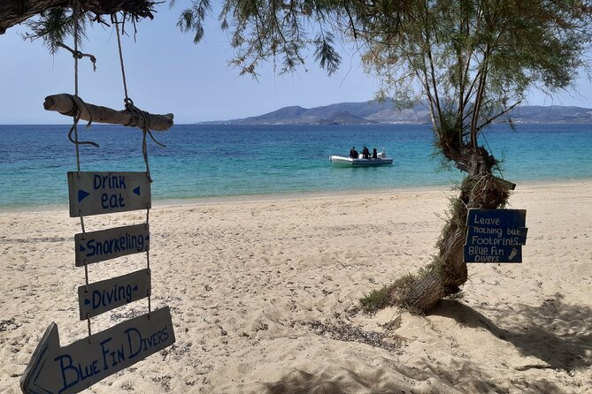 Scuba Diving in Naxos by Bluefindivers - Dive in Greece - Amazing Diving Spots - Is $169.31 a fair price?