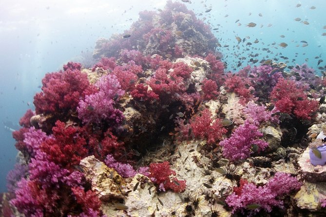 Scuba Diving in Phuket – Full-Day Trip (3 Dives, All Included) - What the 7:00 a.m. start really means