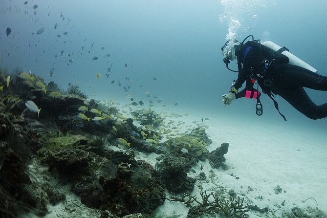 Scuba Diving in Phuket – Full-Day Trip (3 Dives, All Included) - Three sessions, roughly 50 minutes each