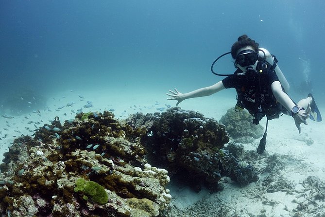 Scuba Diving in Phuket – Full-Day Trip (3 Dives, All Included) - Underwater photographs: a useful extra, not a free perk