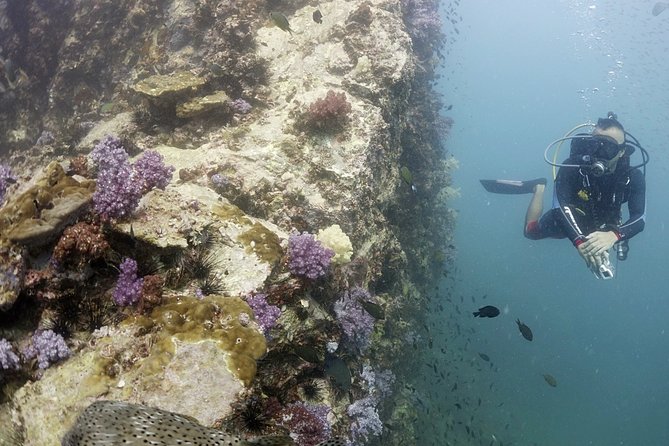Scuba Diving in Phuket – Full-Day Trip (3 Dives, All Included) - Racha Islands: an approachable first look