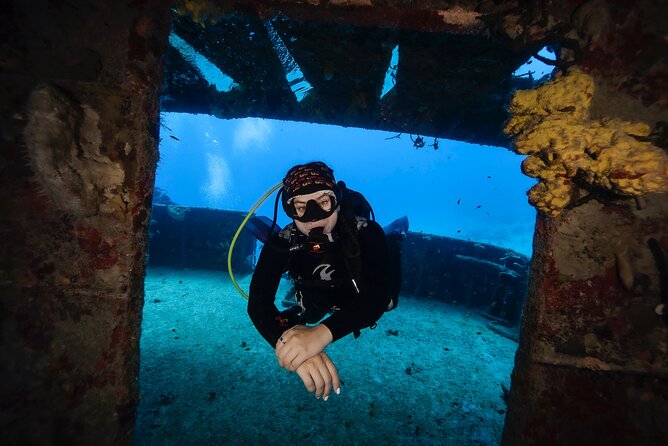 Scuba Diving in Playa del Carmen for Small Groups - Key points at a glance