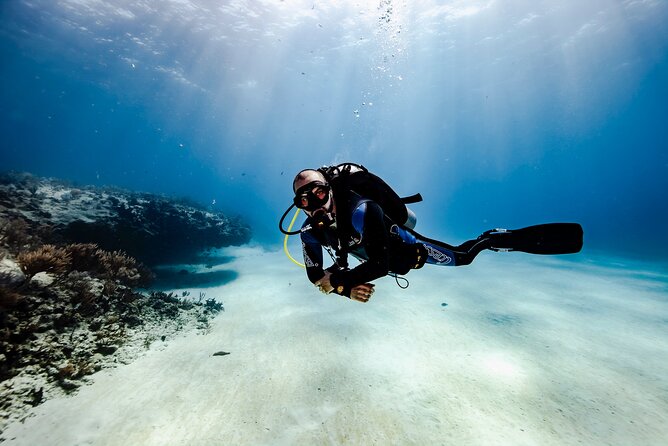 Scuba Diving in Playa del Carmen for Small Groups - Choosing between the 7:15 am and 11:15 am starts
