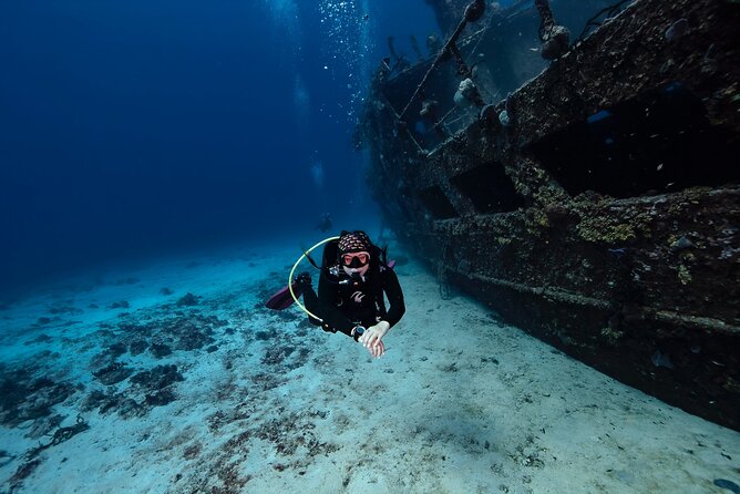 Scuba Diving in Playa del Carmen for Small Groups - The shallow reef and smaller marine life