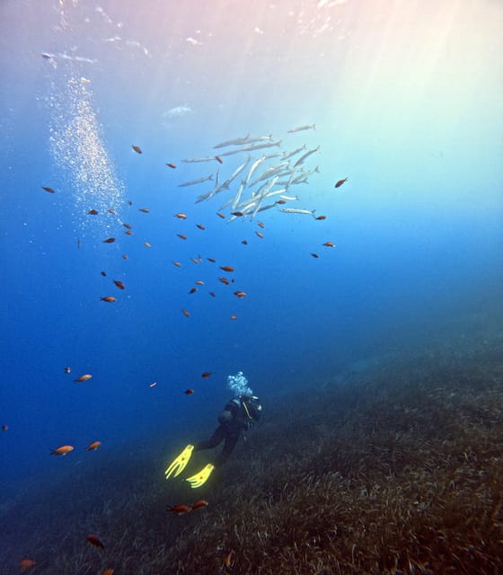 Scuba Diving in the Volcanic Caldera/shorelines of Santorini - Who will enjoy this most?