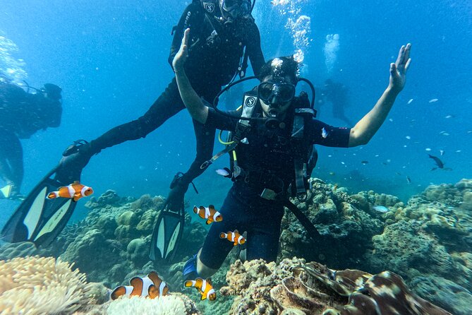 Scuba Diving in Tribe Gate - What Makes This Havelock Underwater Trip Worth Considering