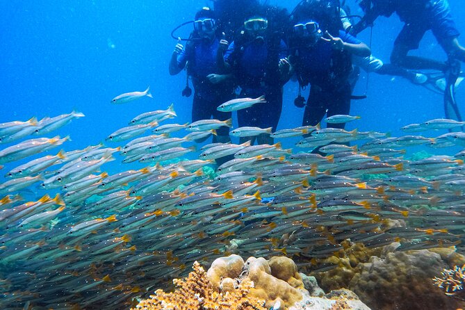 Scuba Diving in Tribe Gate - Starting at Frogman Adventures Near Govind Nagar