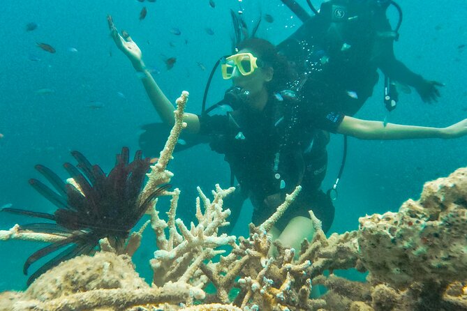 Scuba Diving in Tribe Gate - Who Will Enjoy This Experience Most