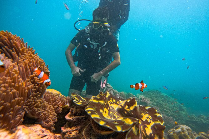 Scuba Diving in Tribe Gate - Learning the Basics Before Going to Sea