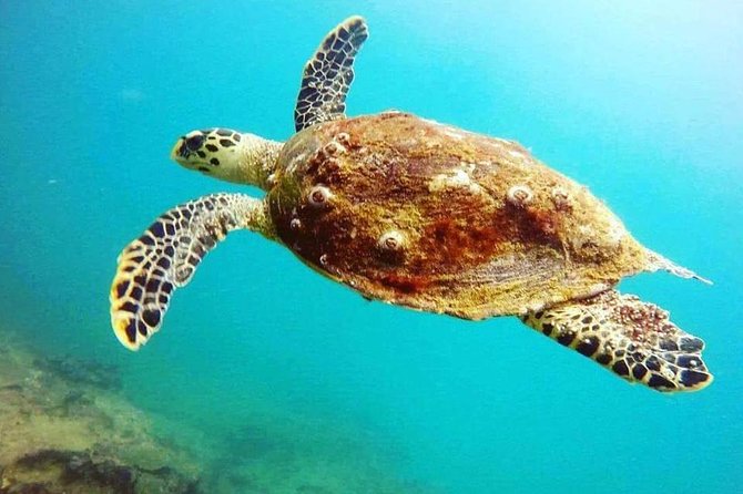 Scuba Diving in Unawatuna - Meeting at Weliwatta House in Unawatuna