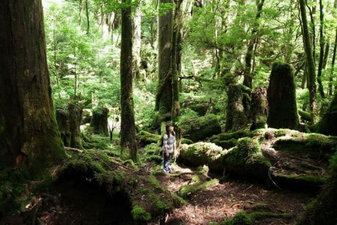 Scuba diving in Yakushima! (Guided Fun Diving for Licensed Guests) - A land-based surface break from 9:50