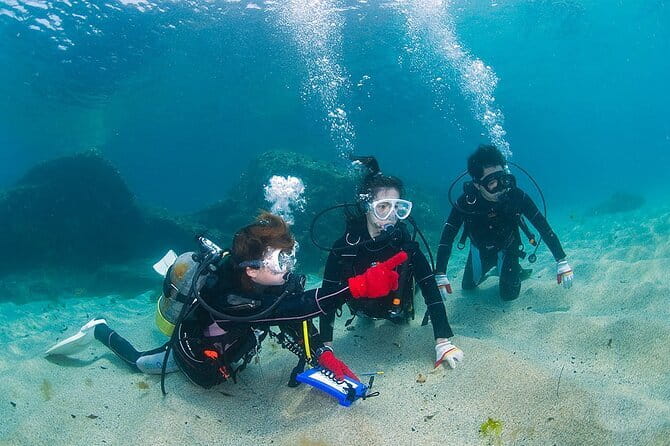 Scuba diving in Yakushima! (Guided Fun Diving for Licensed Guests) - Returning to Miyanoura after the water time