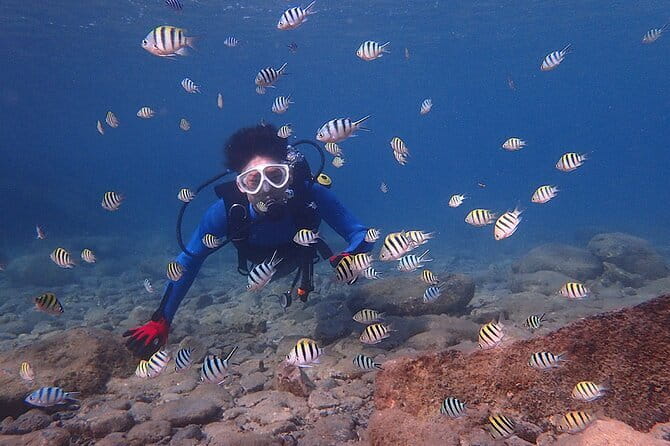 Scuba diving in Yakushima! (Guided Fun Diving for Licensed Guests) - Equipment, boat entry, and comfort