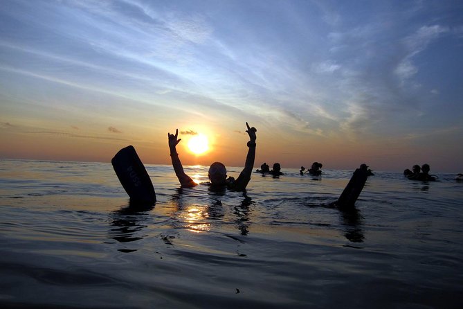 Scuba Diving Kata Beach Night Dive for Certified Divers - Why Kata Beach Works So Well After Dark