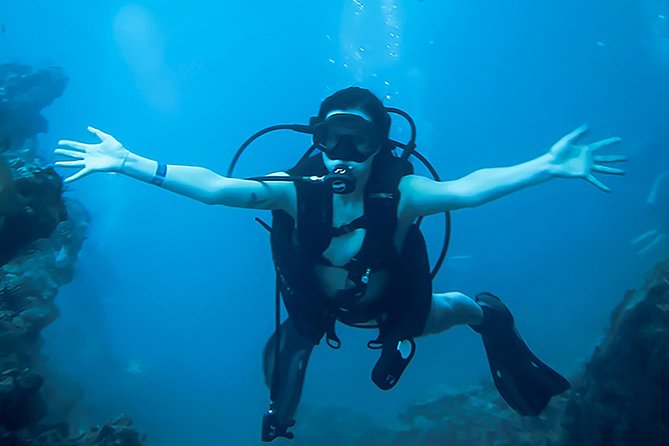 Scuba Diving Marietas Islands - Why the Marietas Islands make a strong morning outing