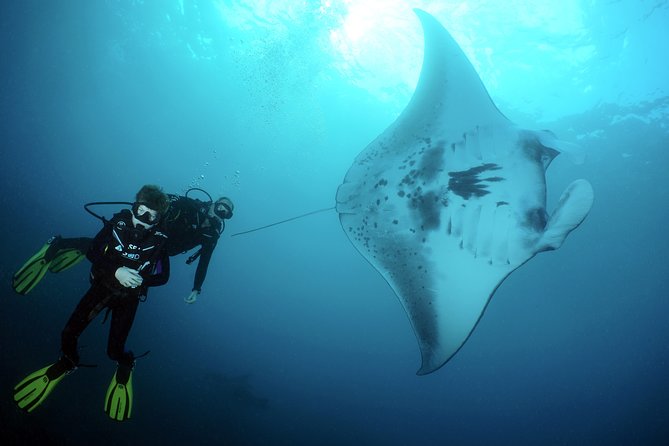Scuba Diving Nusa Penida Manta Point 3 dives for certified divers - Crystal Bay and the possibility of mola-mola