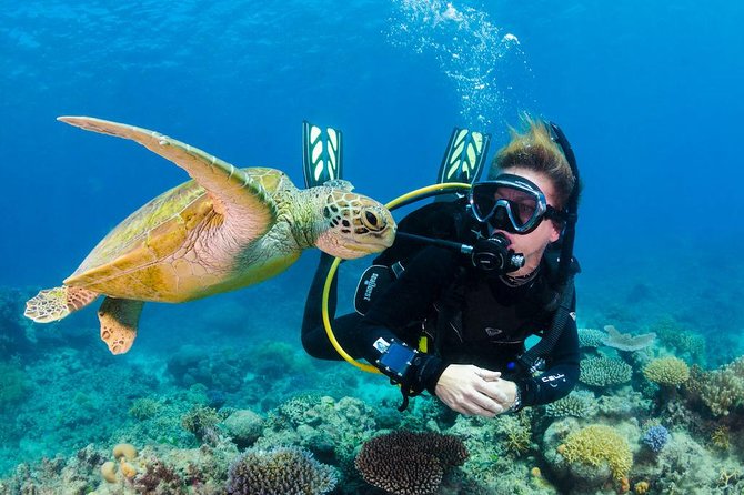 Scuba Diving on Catalina Island | 2 tanks, 2 spots - Key points to know before booking