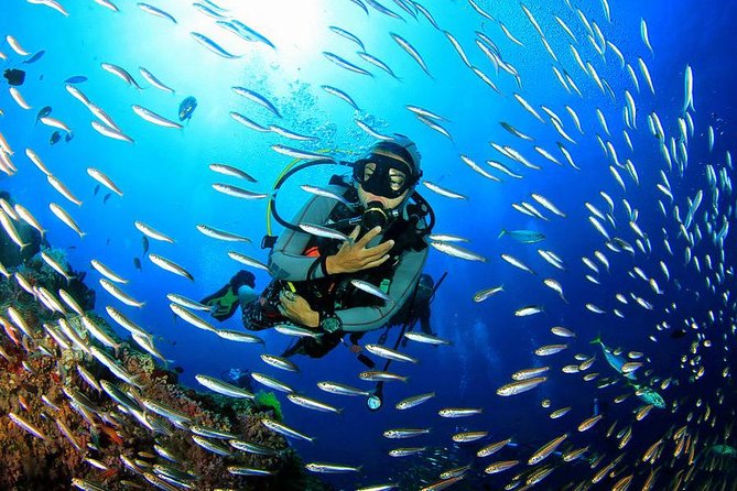 Scuba Diving on Catalina Island | 2 tanks, 2 spots - The 7:30 a.m. start and hotel pickup