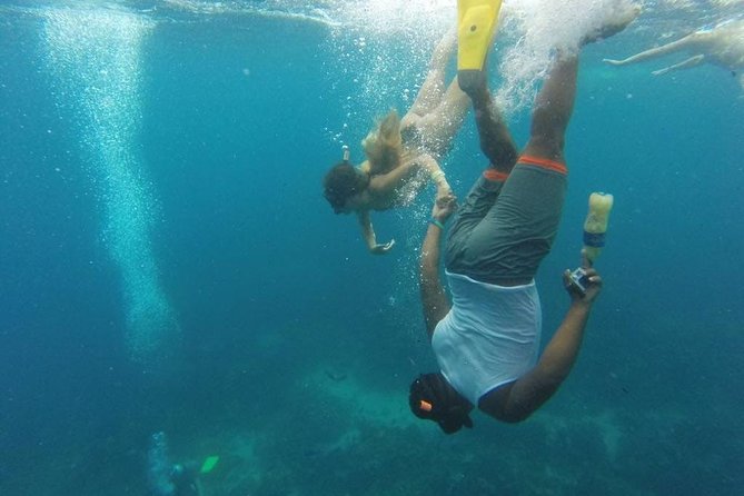 Scuba Diving on Catalina Island | 2 tanks, 2 spots - Is $150 a fair price?