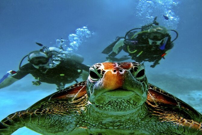 Scuba Diving Open Water PADI Course - Sharm El Sheikh - Starting a PADI course in Sharm El Sheikh