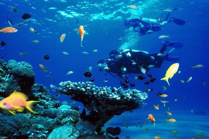 Scuba Diving Open Water PADI Course - Sharm El Sheikh - How good is the instruction?