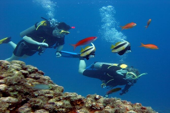 Scuba Diving Open Water PADI Course - Sharm El Sheikh - What the $420 price includes