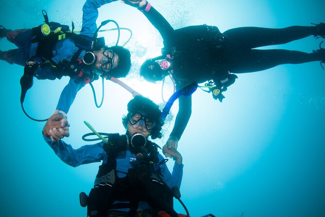 Scuba Diving Puerto Vallarta Undersea Arcos or Marietas - Is $125 a fair price?