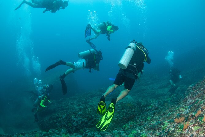 Scuba Diving Puerto Vallarta Undersea Arcos or Marietas - The main drawbacks to consider