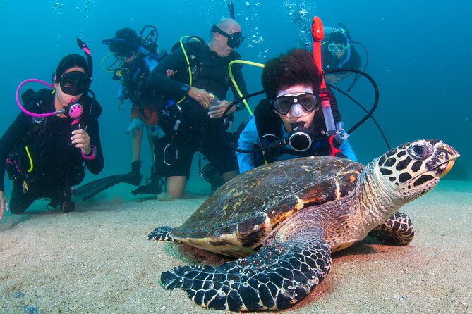 Scuba Diving Puerto Vallarta Undersea Arcos or Marietas - Choosing between Los Arcos and Marietas Islands