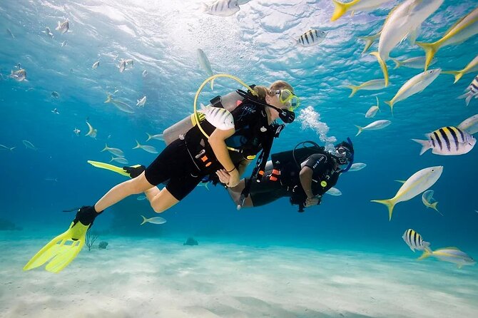 Scuba Diving Sea Trip with Lunch and Transfer from Hurghada - Five things to know before booking