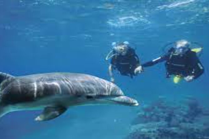 Scuba Diving Sea Trip with Lunch and Transfer from Hurghada - Starting at 8:30 in Hurghada