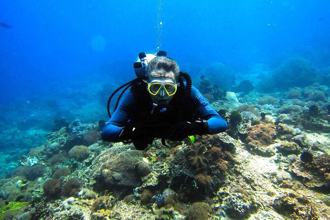 Scuba Diving Sea Trip with Lunch and Transfer from Hurghada - A buffet lunch between sea activities