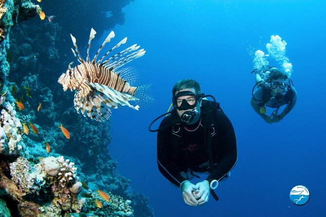 Scuba Diving Sea Trip with Lunch and Transfer from Hurghada - Snorkeling, swimming, and time on deck